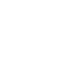 White student logo - Careskills Academy