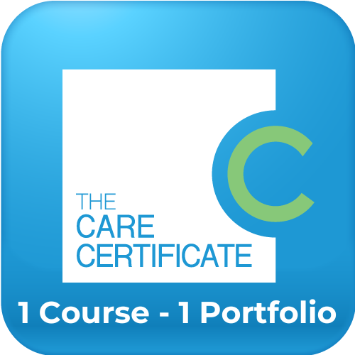 Care Certificate Careskills Academy