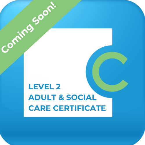 Adult and social care Level care certificate