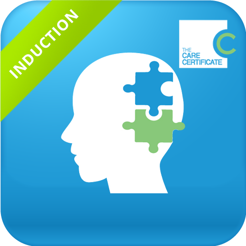 Care Certificate Induction Autism Careskills Academy